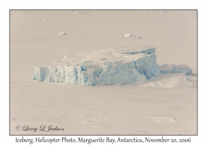 Iceberg