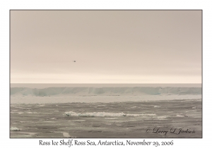 Ross Ice Shelf
