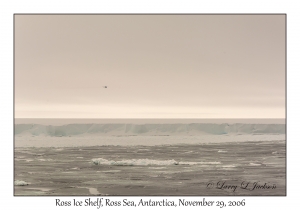 Ross Ice Shelf