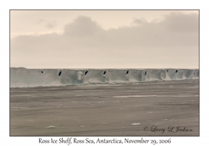 Ross Ice Shelf