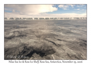 Nilas Sea Ice & Ross Ice Shelf