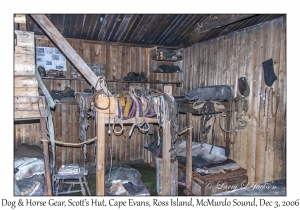 Dog & Horse Gear