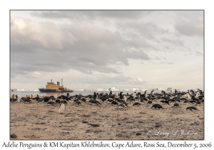 Adelie Penguins & KM Kapitan Khlebnikov