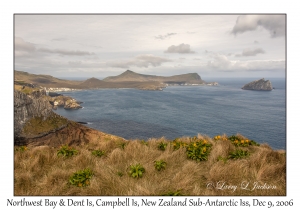 Northwest Bay & Dent Island