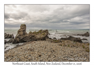 Northeast Coast
