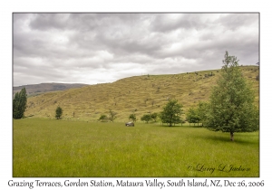 Grazing Terraces