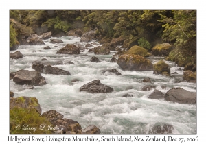 Hollyford River