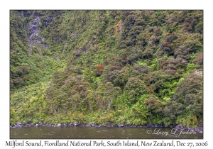 Milford Sound