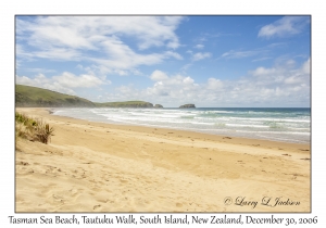 Tasman Sea Beach