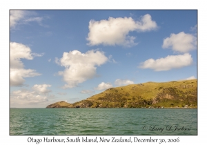 Otago Harbour