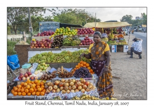 Fruit Stand