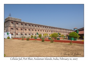 Cellular Jail