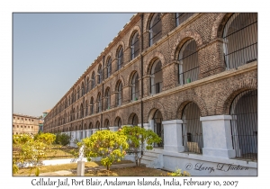 Cellular Jail