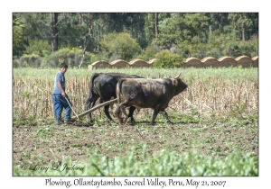 Plowing