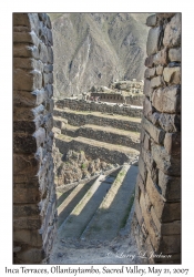 Inca Terraces