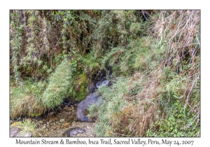 Mountain Stream & Bamboo