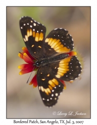 Bordered Patch