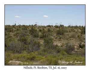 near Dinosaur Tracks