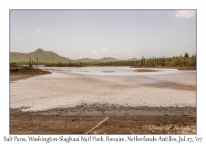 Salt Pans