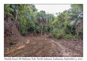 Muddy Road