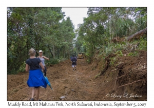 Muddy Road