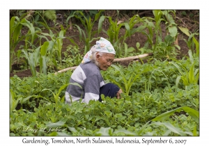 Gardening