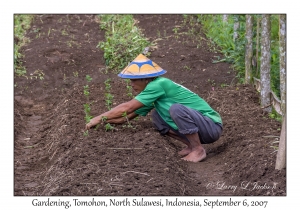 Gardening