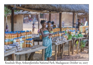 Roadside Shop