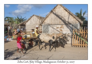 Zebu Cart