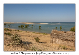 Coastline & Mangroves