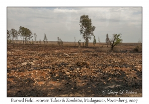 Burned Field