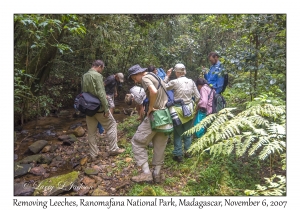 Group removing Leeches