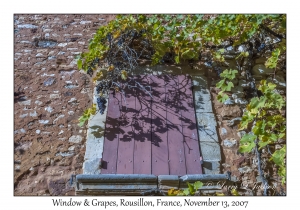Window & Grapes