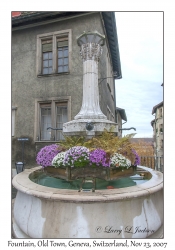 Fountain & Flowers