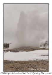Old Faithful