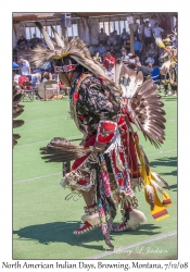 North American Indian Days