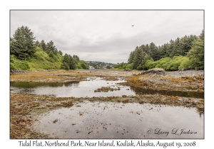 Tidal Flat