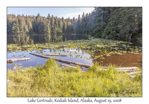 Lake Gertrude