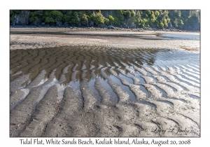 Tidal Flat