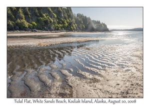 Tidal Flat