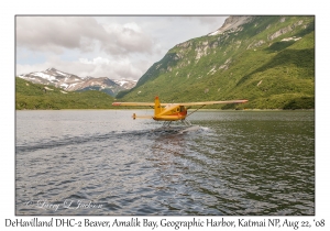 DeHavilland DHC-2 Beaver