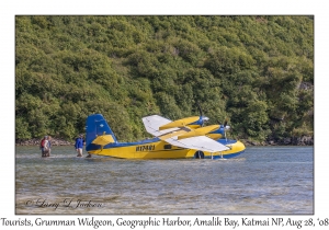 Grumman Widgeon