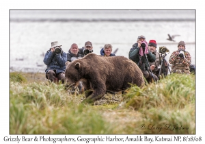 Grizzly Bear & Photographers