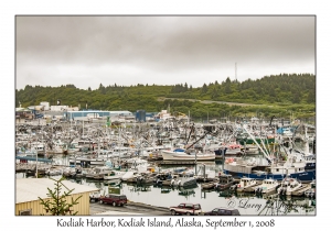 Kodiak Harbor