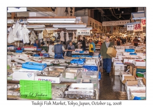 Tsukiji Fish Market
