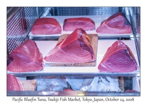 Pacific Bluefin Tuna