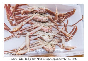 Snow Crabs