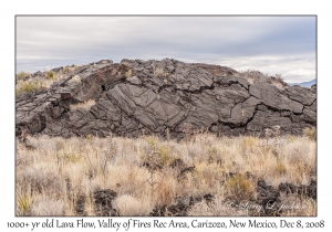 1000+ year old Lava Flow