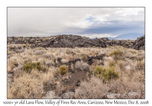 1000+ year old Lava Flow