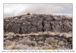 1000+ year old Lava Flow